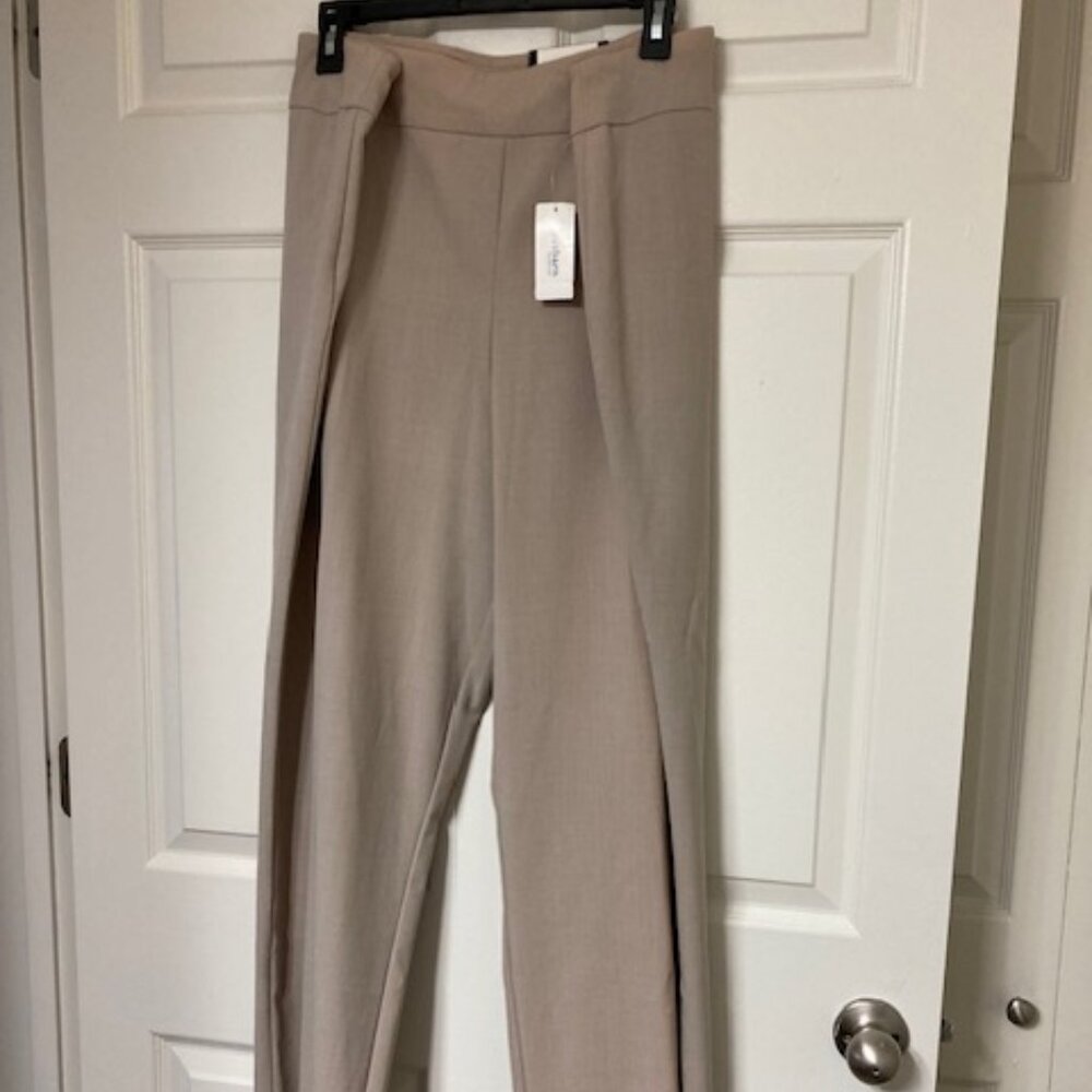 Roz & Ali Beige Secret Agent Tummy Control Pull on Pants NWT 24W